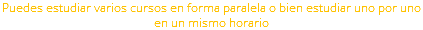 Puedes estudiar varios cursos en forma paralela o bien estudiar uno por uno en un mismo horario