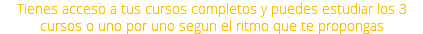 Tienes acceso a tus cursos completos y puedes estudiar los 3 cursos o uno por uno segun el ritmo que te propongas