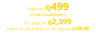 Paga solo Q499 (6 Mensualidades) ó 1 pago de Q2,399 Hasta 10 visa cuotas sin recargo de Q239.90